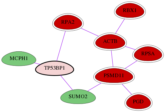 wolf-screen-ratio-mammosphere-adherent-int-snw-7158 subnetwork