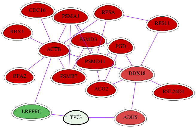 wolf-screen-ratio-mammosphere-adherent-int-snw-7161 subnetwork