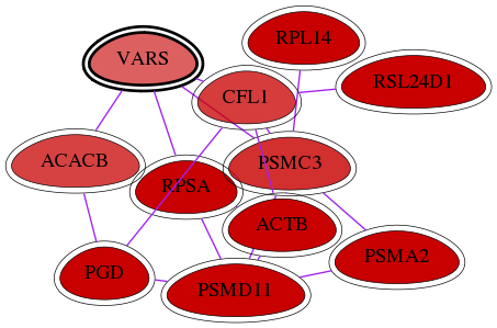 wolf-screen-ratio-mammosphere-adherent-int-snw-7407 subnetwork