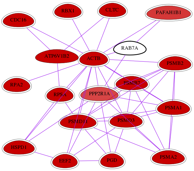 wolf-screen-ratio-mammosphere-adherent-int-snw-7879 subnetwork