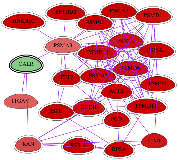 wolf-screen-ratio-mammosphere-adherent-int-snw-811 subnetwork