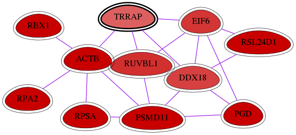 wolf-screen-ratio-mammosphere-adherent-int-snw-8295 subnetwork