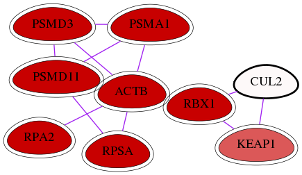 wolf-screen-ratio-mammosphere-adherent-int-snw-8453 subnetwork