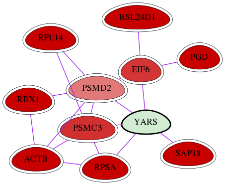 wolf-screen-ratio-mammosphere-adherent-int-snw-8565 subnetwork