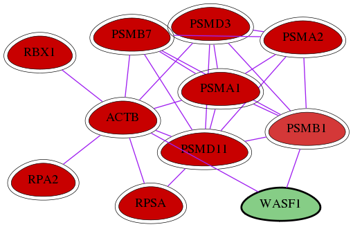 wolf-screen-ratio-mammosphere-adherent-int-snw-8936 subnetwork