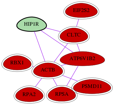 wolf-screen-ratio-mammosphere-adherent-int-snw-9026 subnetwork