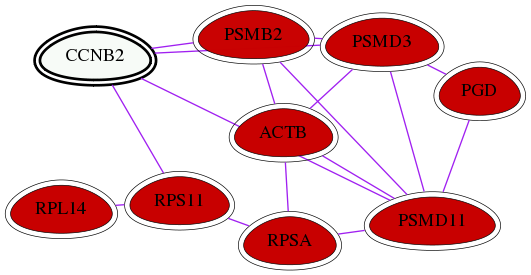 wolf-screen-ratio-mammosphere-adherent-int-snw-9133 subnetwork