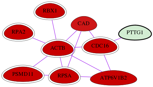 wolf-screen-ratio-mammosphere-adherent-int-snw-9232 subnetwork