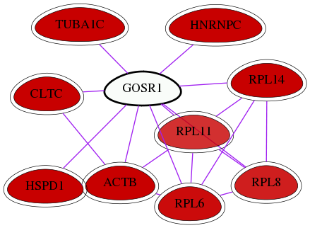 wolf-screen-ratio-mammosphere-adherent-int-snw-9527 subnetwork