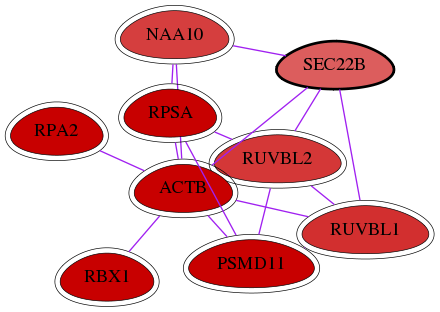 wolf-screen-ratio-mammosphere-adherent-int-snw-9554 subnetwork