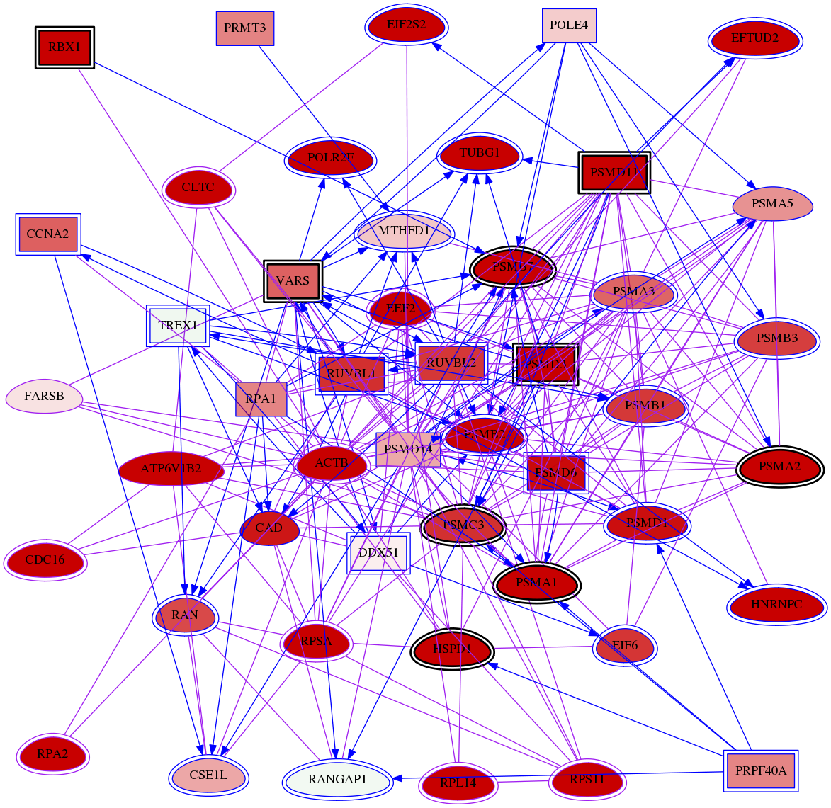 wolf-screen-ratio-mammosphere-adherent-meta-int-snw-10056 subnetwork