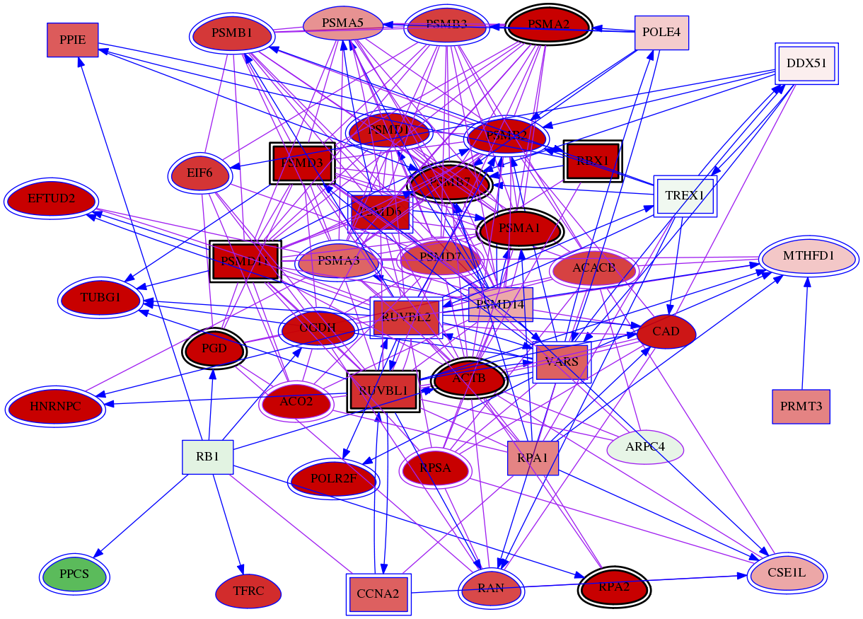 wolf-screen-ratio-mammosphere-adherent-meta-int-snw-10093 subnetwork