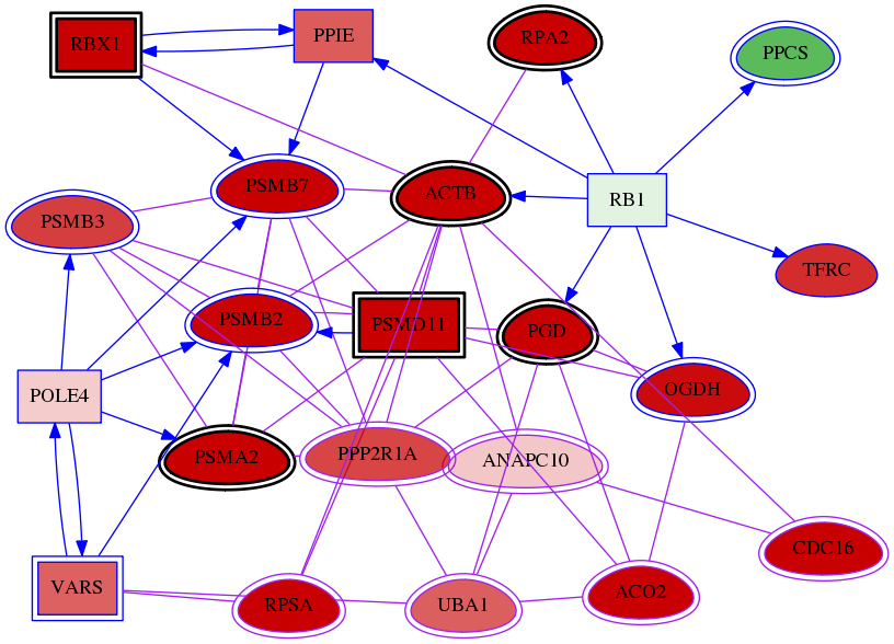 wolf-screen-ratio-mammosphere-adherent-meta-int-snw-10393 subnetwork