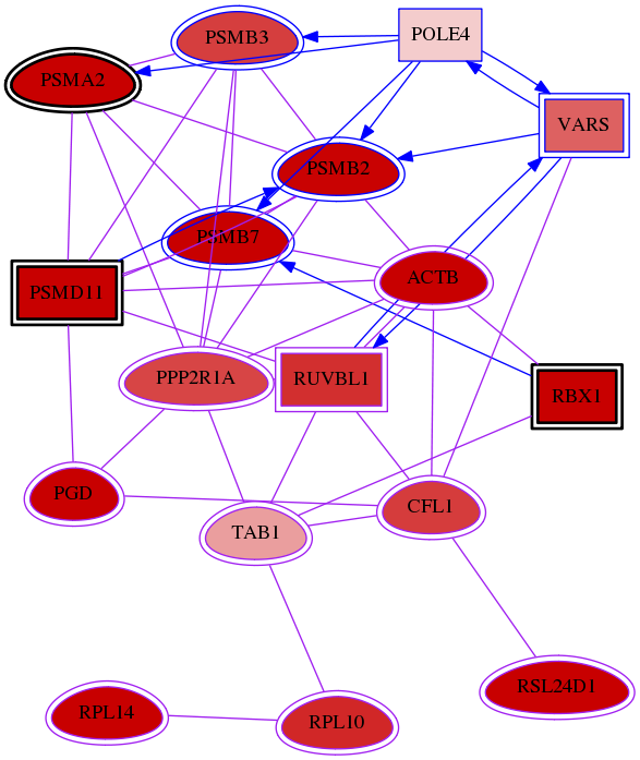 wolf-screen-ratio-mammosphere-adherent-meta-int-snw-10454 subnetwork