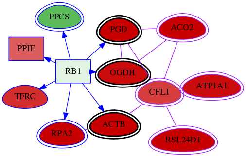 wolf-screen-ratio-mammosphere-adherent-meta-int-snw-1072 subnetwork