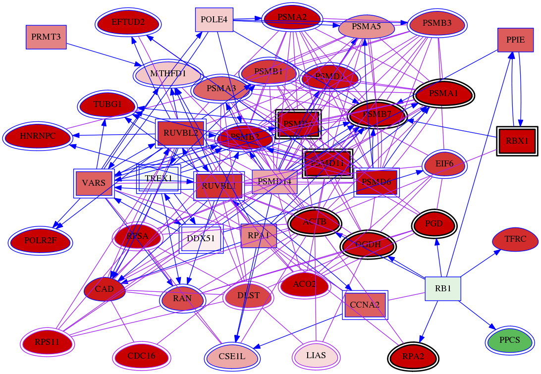 wolf-screen-ratio-mammosphere-adherent-meta-int-snw-11019 subnetwork