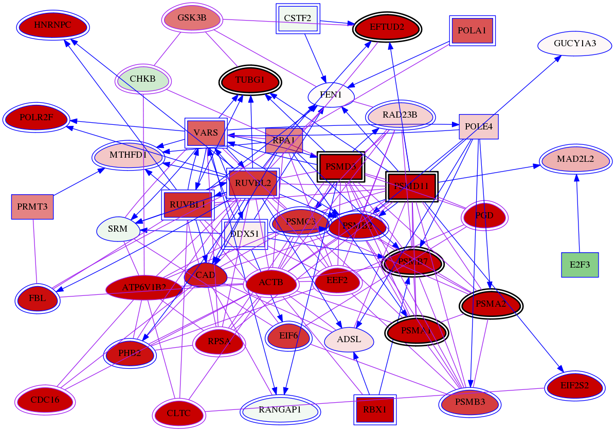 wolf-screen-ratio-mammosphere-adherent-meta-int-snw-1120 subnetwork