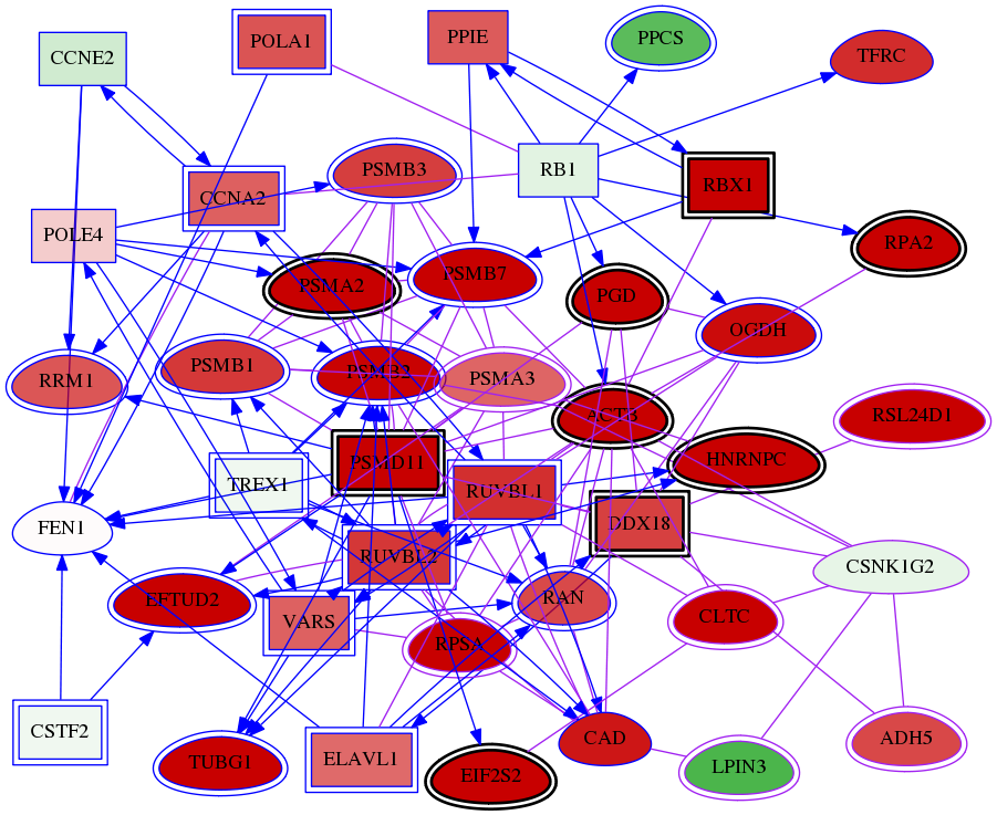 wolf-screen-ratio-mammosphere-adherent-meta-int-snw-1455 subnetwork