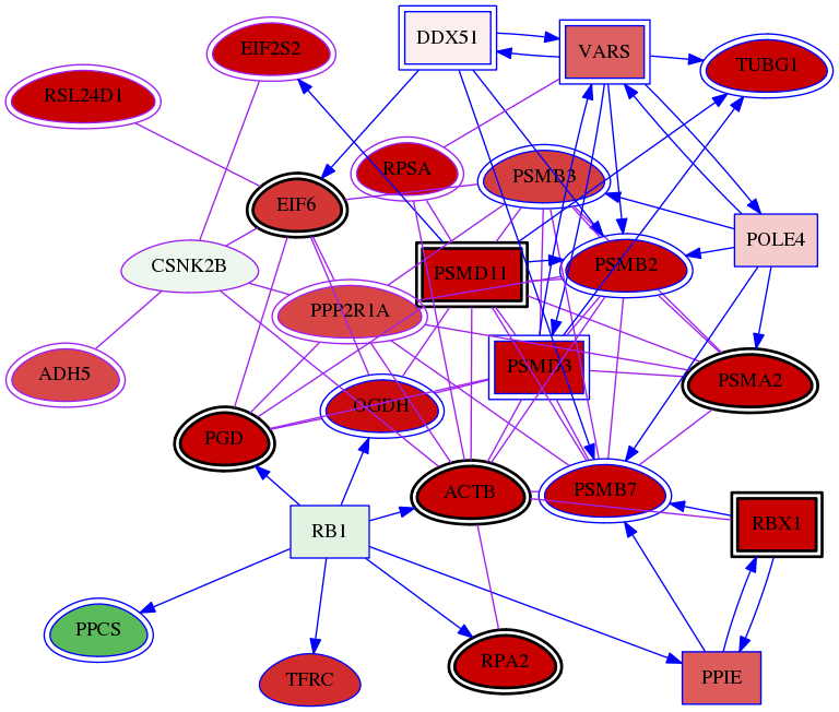 wolf-screen-ratio-mammosphere-adherent-meta-int-snw-1460 subnetwork