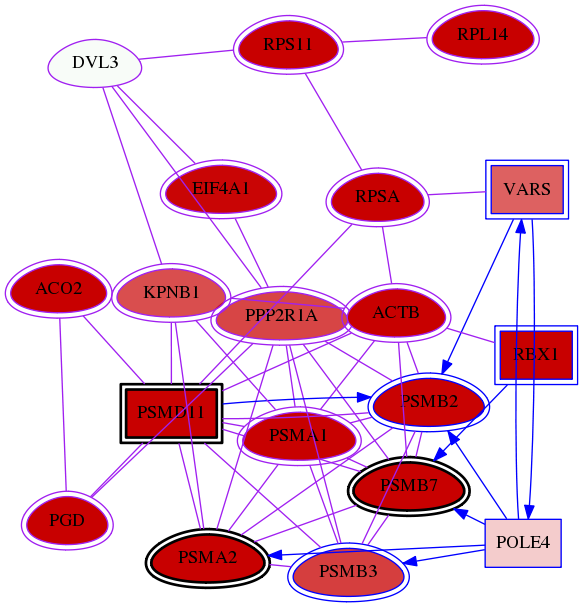 wolf-screen-ratio-mammosphere-adherent-meta-int-snw-1857 subnetwork