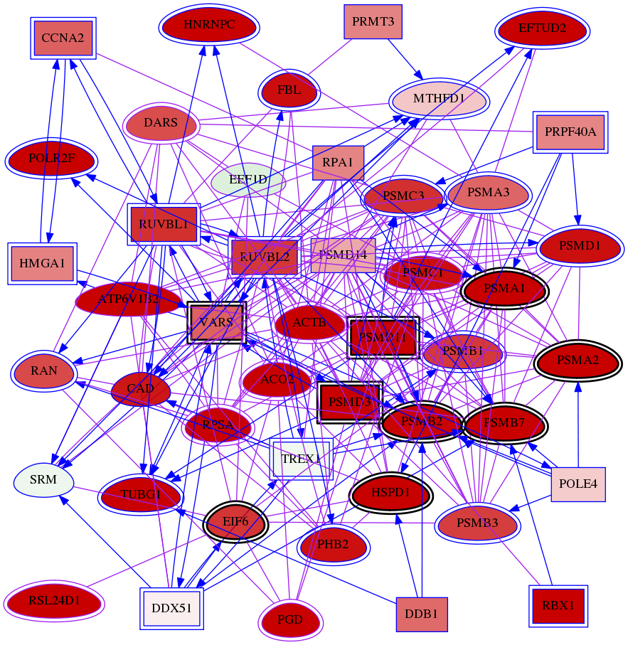 wolf-screen-ratio-mammosphere-adherent-meta-int-snw-1936 subnetwork