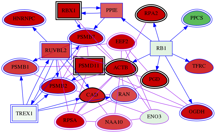 wolf-screen-ratio-mammosphere-adherent-meta-int-snw-2027 subnetwork