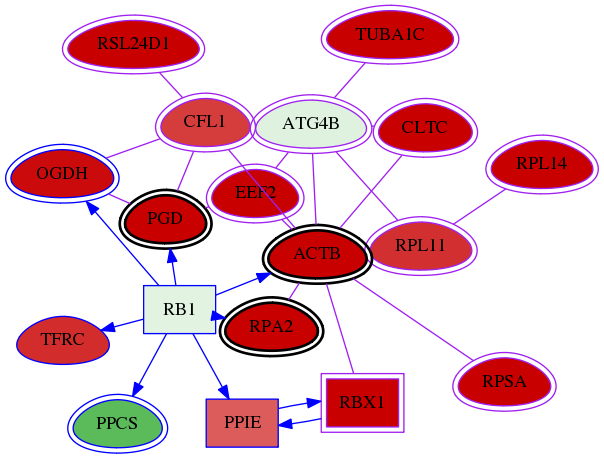 wolf-screen-ratio-mammosphere-adherent-meta-int-snw-23192 subnetwork