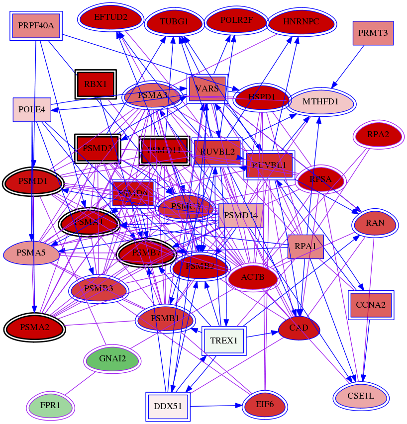 wolf-screen-ratio-mammosphere-adherent-meta-int-snw-2357 subnetwork