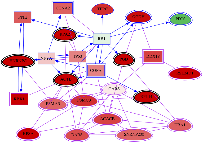 wolf-screen-ratio-mammosphere-adherent-meta-int-snw-2617 subnetwork