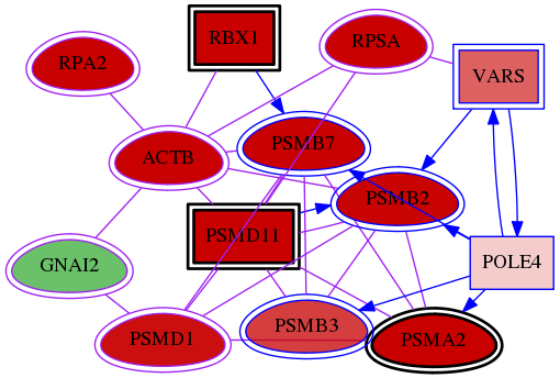 wolf-screen-ratio-mammosphere-adherent-meta-int-snw-2771 subnetwork