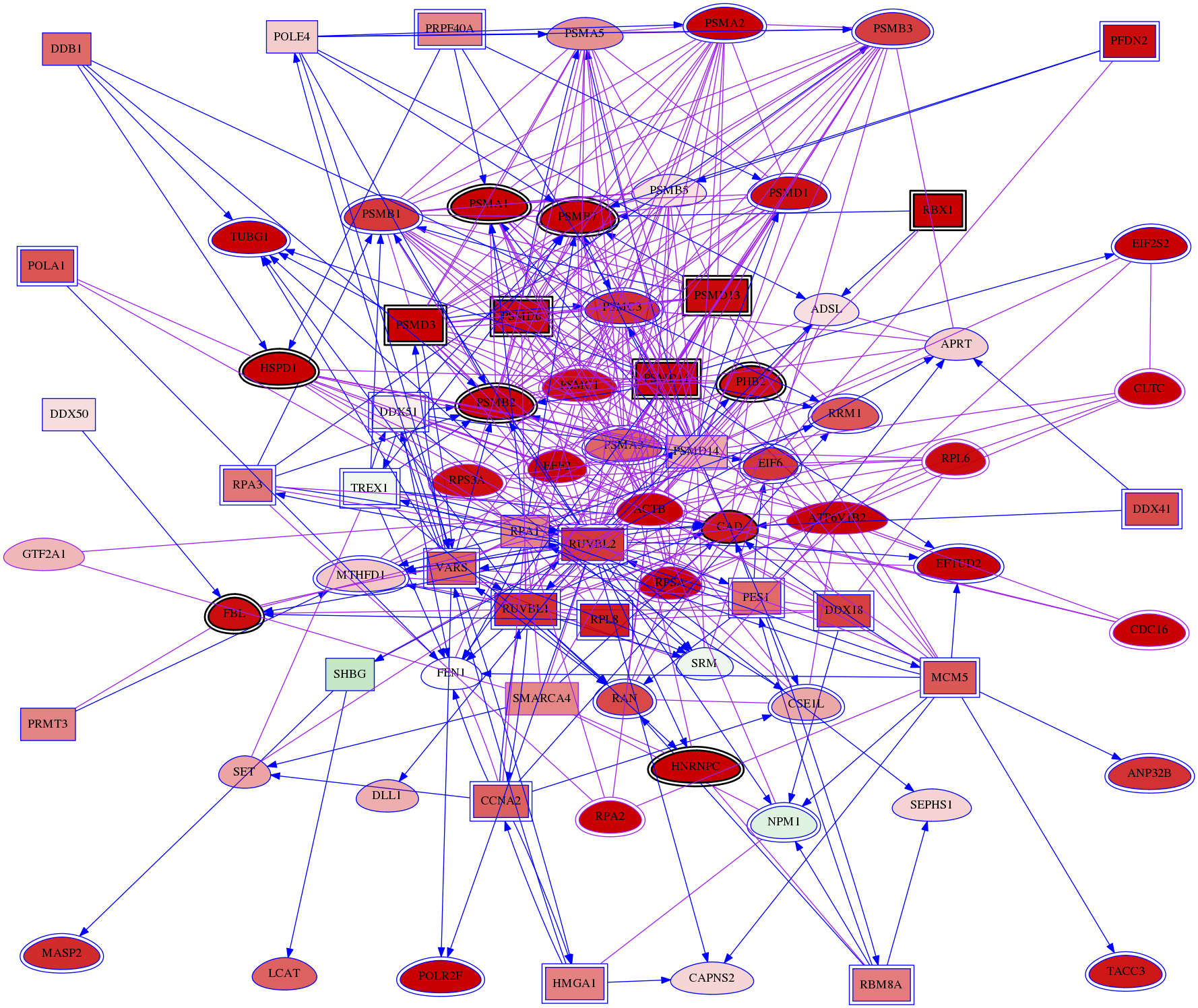 wolf-screen-ratio-mammosphere-adherent-meta-int-snw-2957 subnetwork