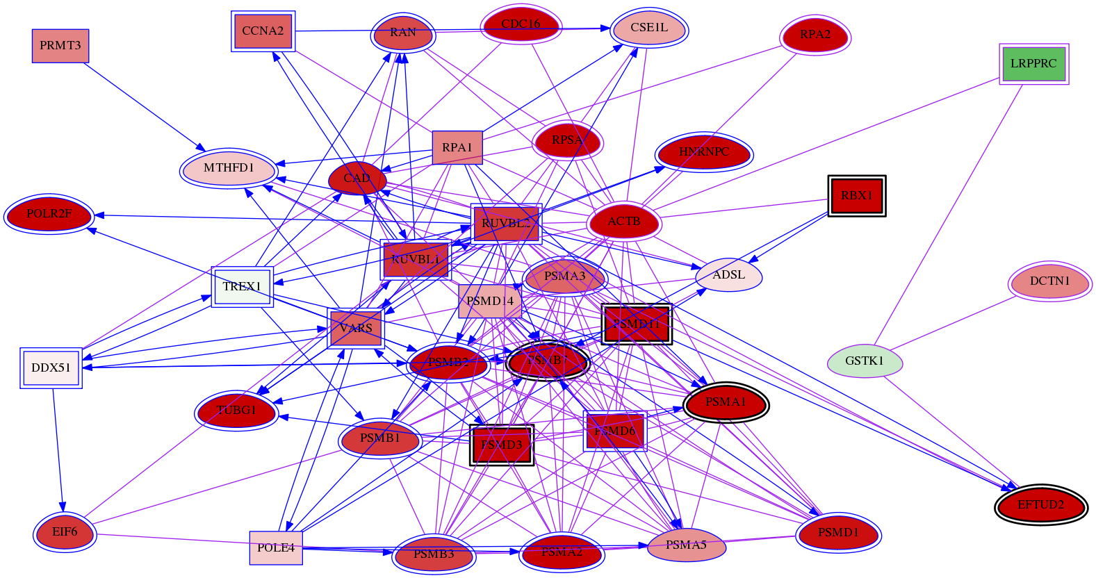 wolf-screen-ratio-mammosphere-adherent-meta-int-snw-373156 subnetwork