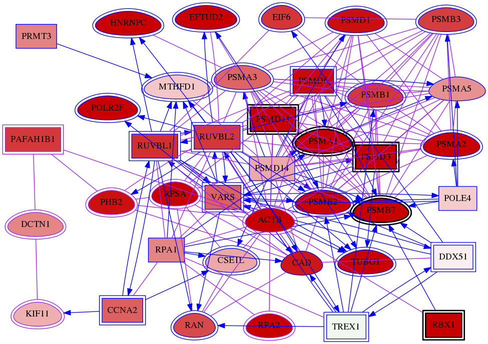 wolf-screen-ratio-mammosphere-adherent-meta-int-snw-3832 subnetwork