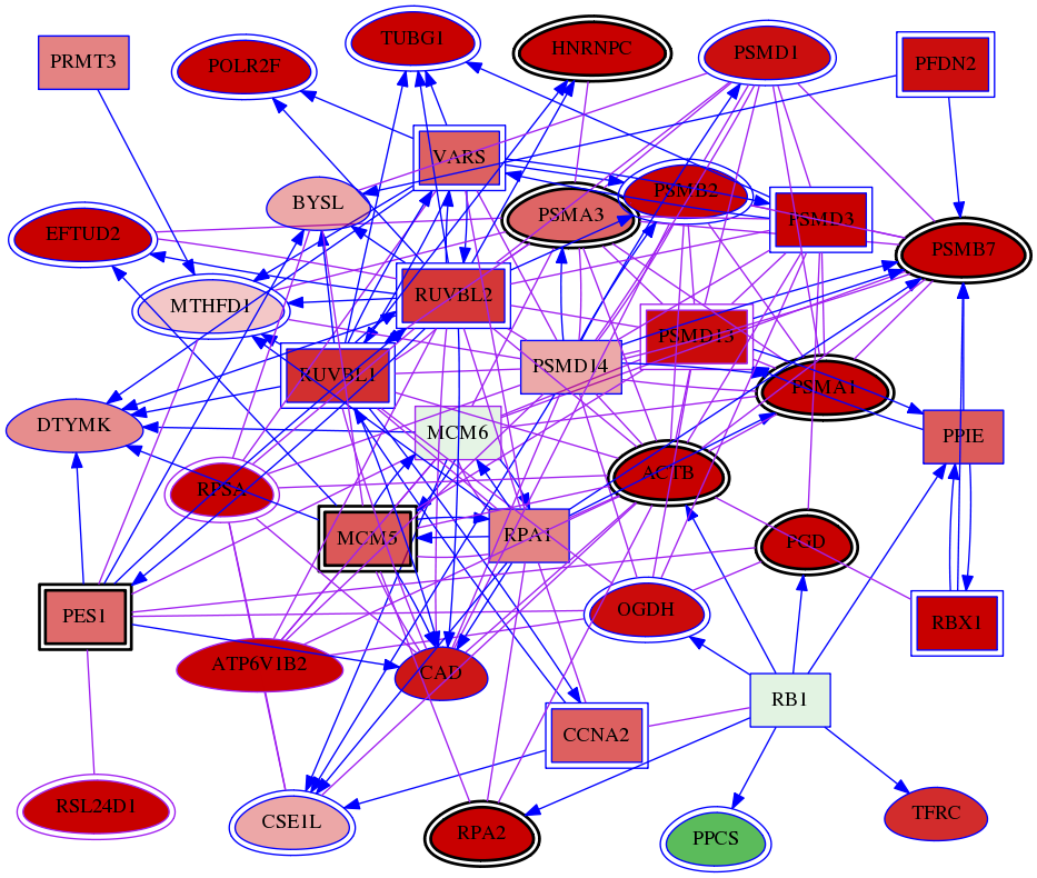 wolf-screen-ratio-mammosphere-adherent-meta-int-snw-4175 subnetwork