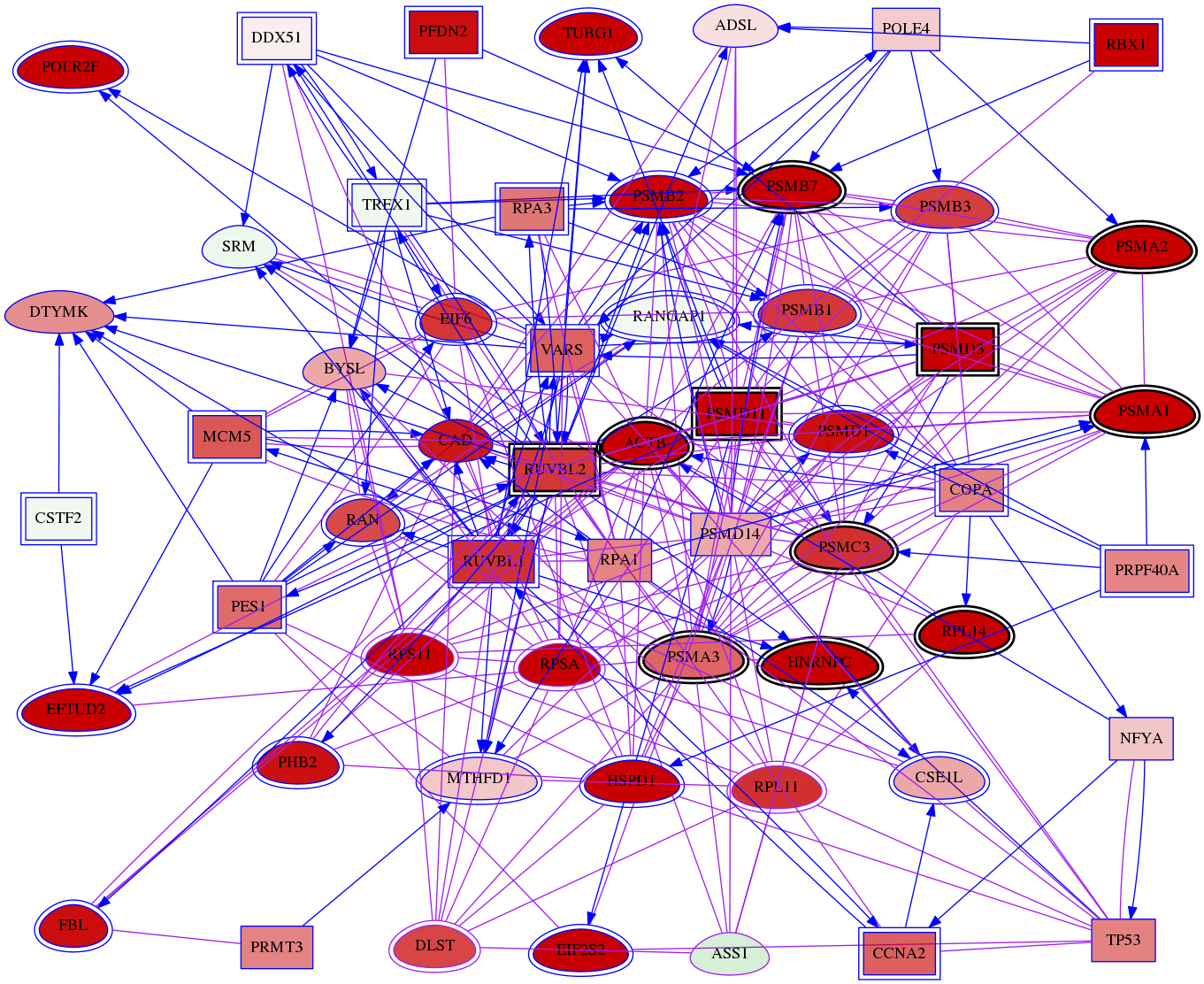 wolf-screen-ratio-mammosphere-adherent-meta-int-snw-445 subnetwork