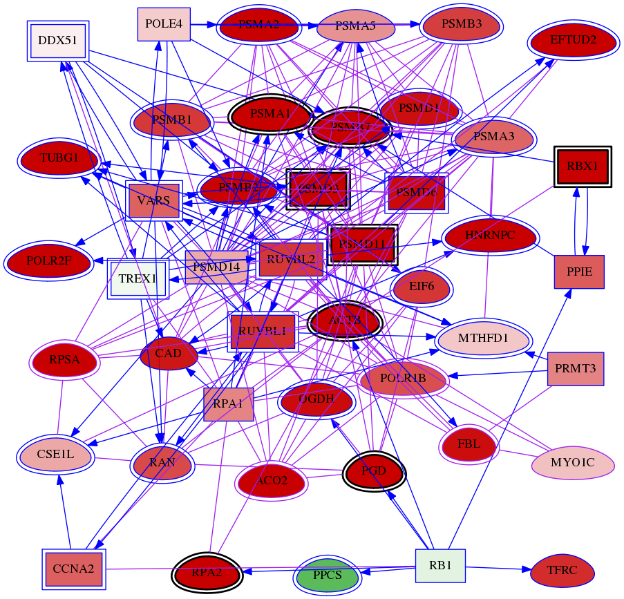 wolf-screen-ratio-mammosphere-adherent-meta-int-snw-4641 subnetwork