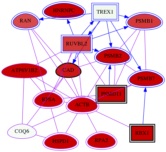 wolf-screen-ratio-mammosphere-adherent-meta-int-snw-51004 subnetwork