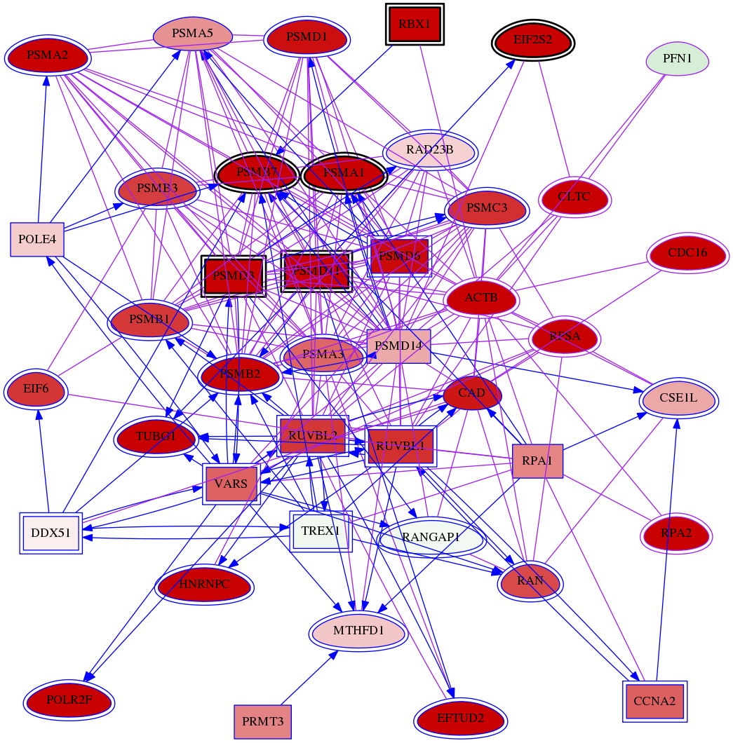 wolf-screen-ratio-mammosphere-adherent-meta-int-snw-5216 subnetwork