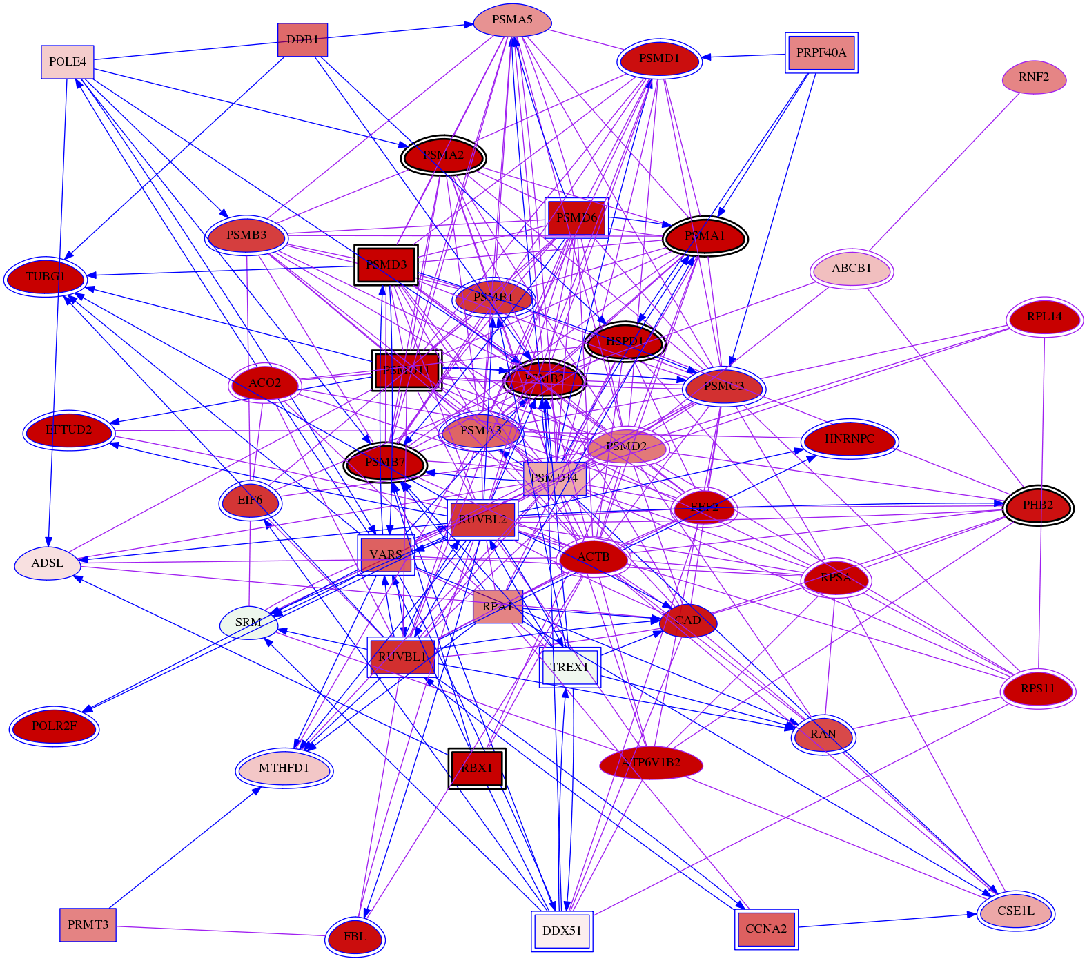 wolf-screen-ratio-mammosphere-adherent-meta-int-snw-5243 subnetwork