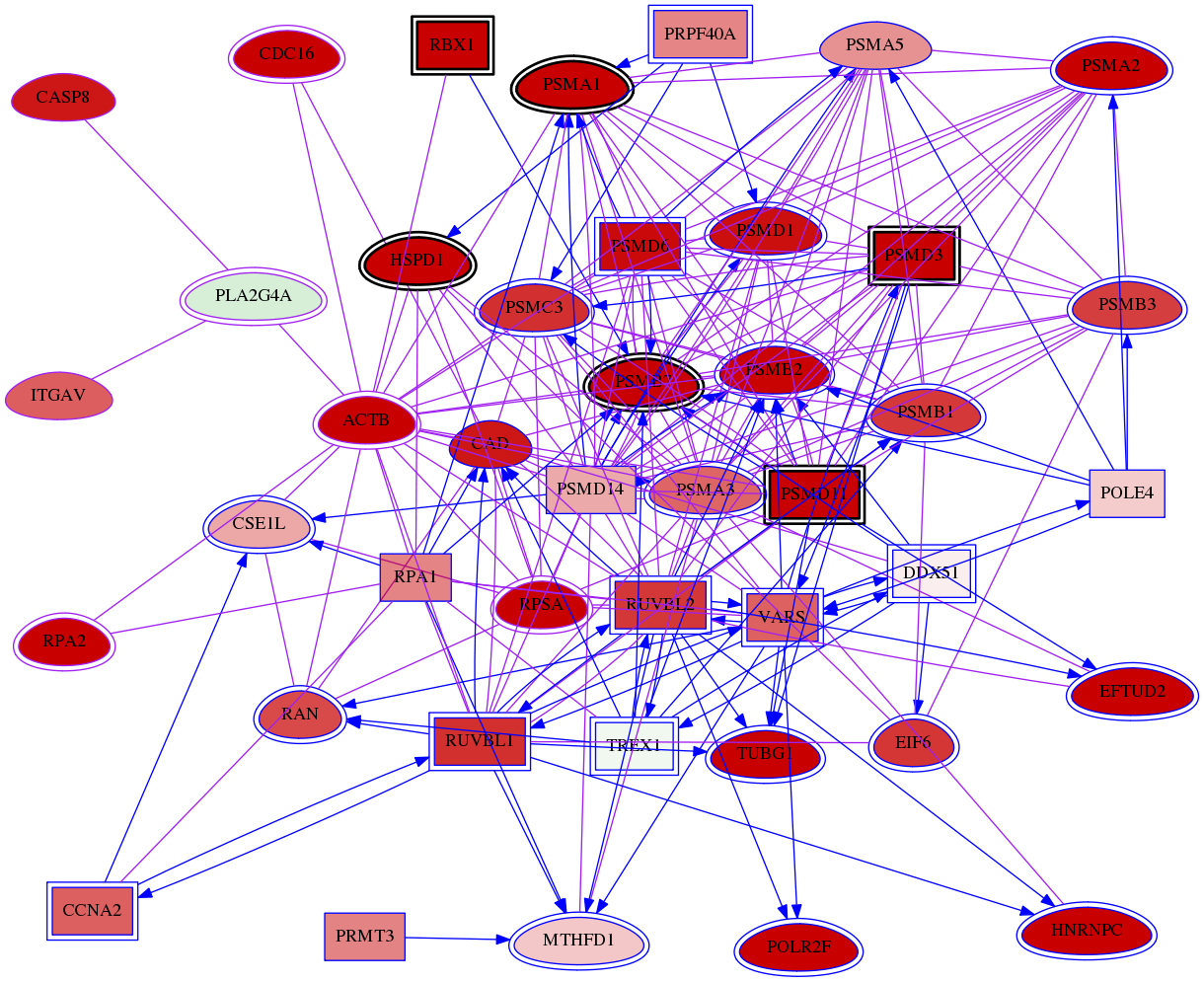 wolf-screen-ratio-mammosphere-adherent-meta-int-snw-5321 subnetwork