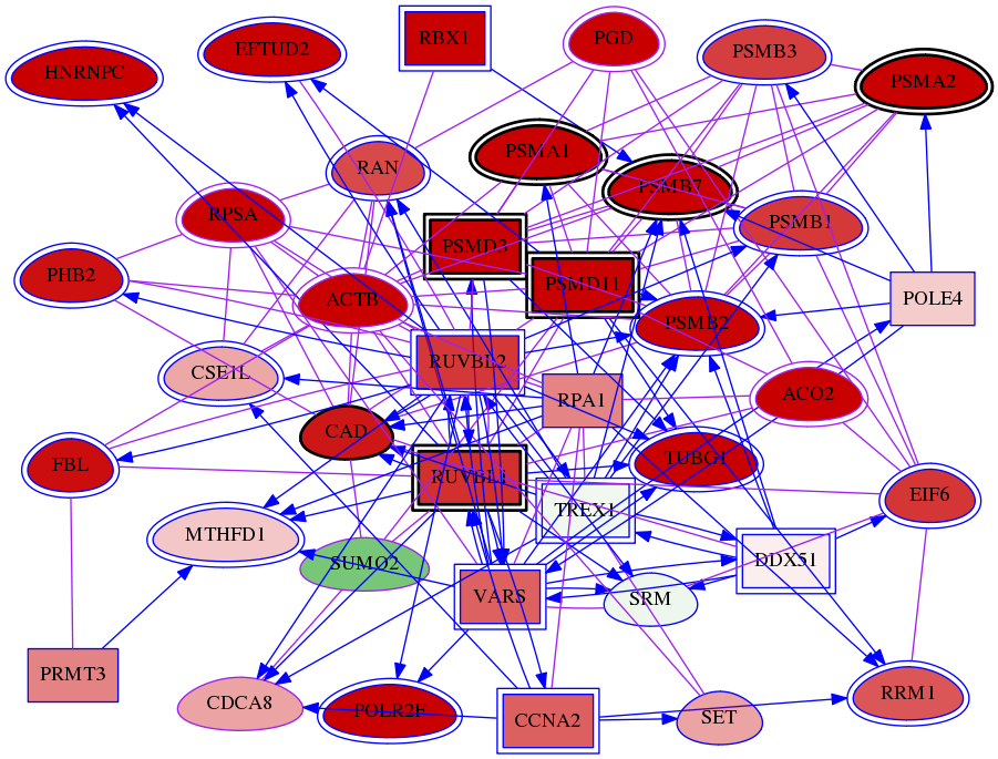 wolf-screen-ratio-mammosphere-adherent-meta-int-snw-55143 subnetwork