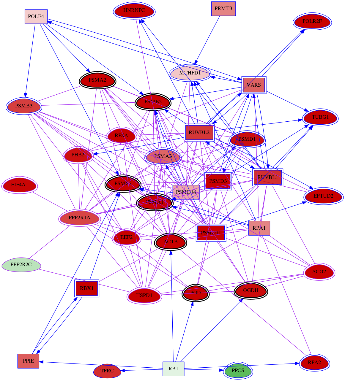 wolf-screen-ratio-mammosphere-adherent-meta-int-snw-5522 subnetwork