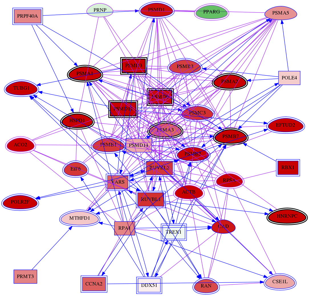 wolf-screen-ratio-mammosphere-adherent-meta-int-snw-5621 subnetwork