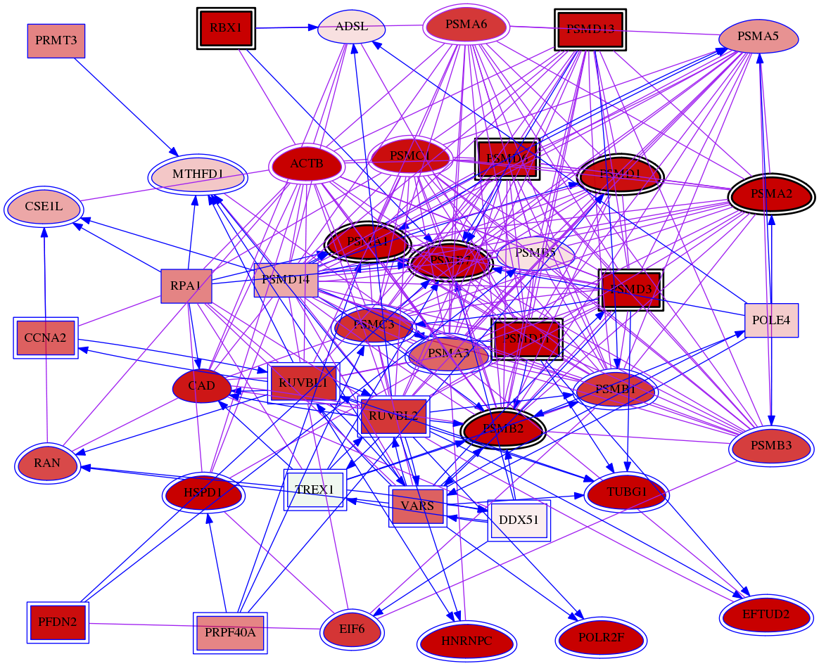 wolf-screen-ratio-mammosphere-adherent-meta-int-snw-5687 subnetwork