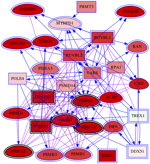 wolf-screen-ratio-mammosphere-adherent-meta-int-snw-5690 subnetwork