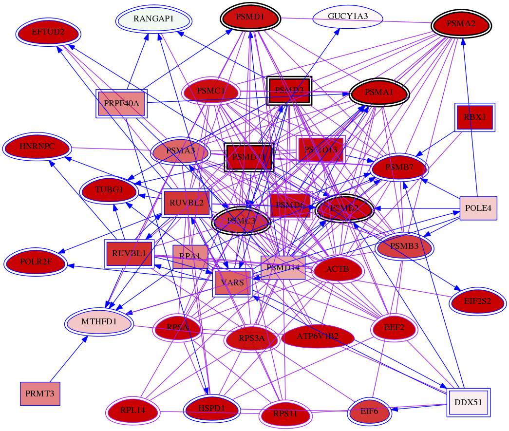 wolf-screen-ratio-mammosphere-adherent-meta-int-snw-5702 subnetwork