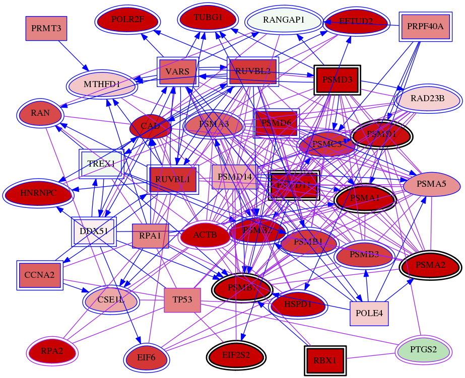 wolf-screen-ratio-mammosphere-adherent-meta-int-snw-5743 subnetwork