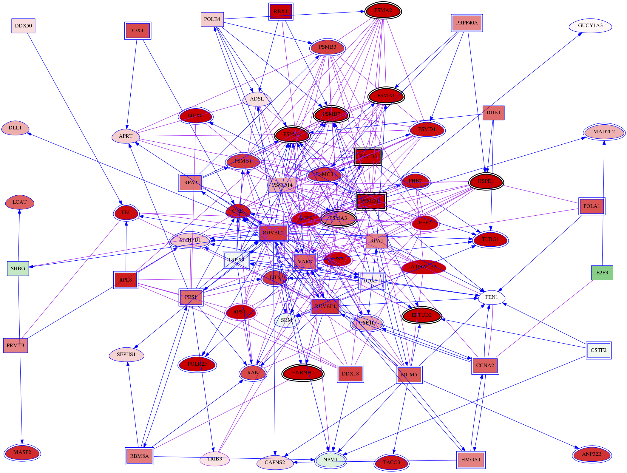 wolf-screen-ratio-mammosphere-adherent-meta-int-snw-57761 subnetwork