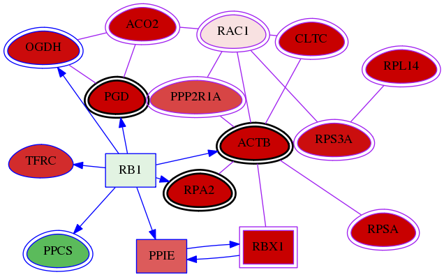 wolf-screen-ratio-mammosphere-adherent-meta-int-snw-5879 subnetwork