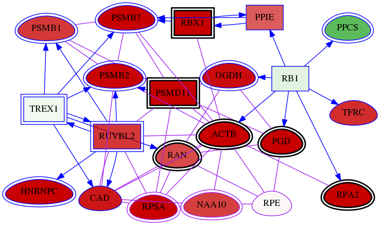 wolf-screen-ratio-mammosphere-adherent-meta-int-snw-6120 subnetwork